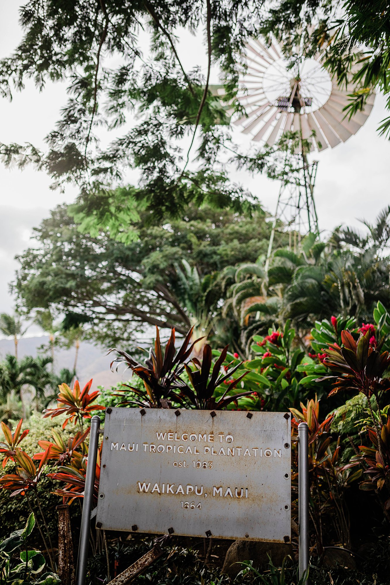 Maui Tropical Plantation Wedding