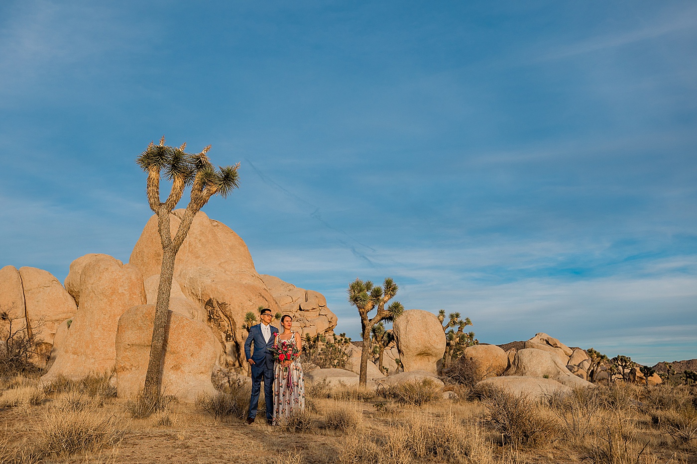 Bride and groom holding hands, gazing at the park scenery during Joshua Tree elopement.