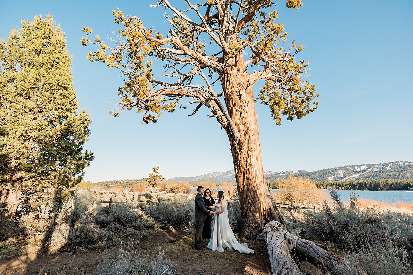 Big Bear elopement ceremony at Juniper Point Picnic Area.