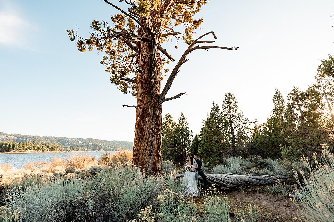 Big Bear elopement at Juniper Point Picnic Area.