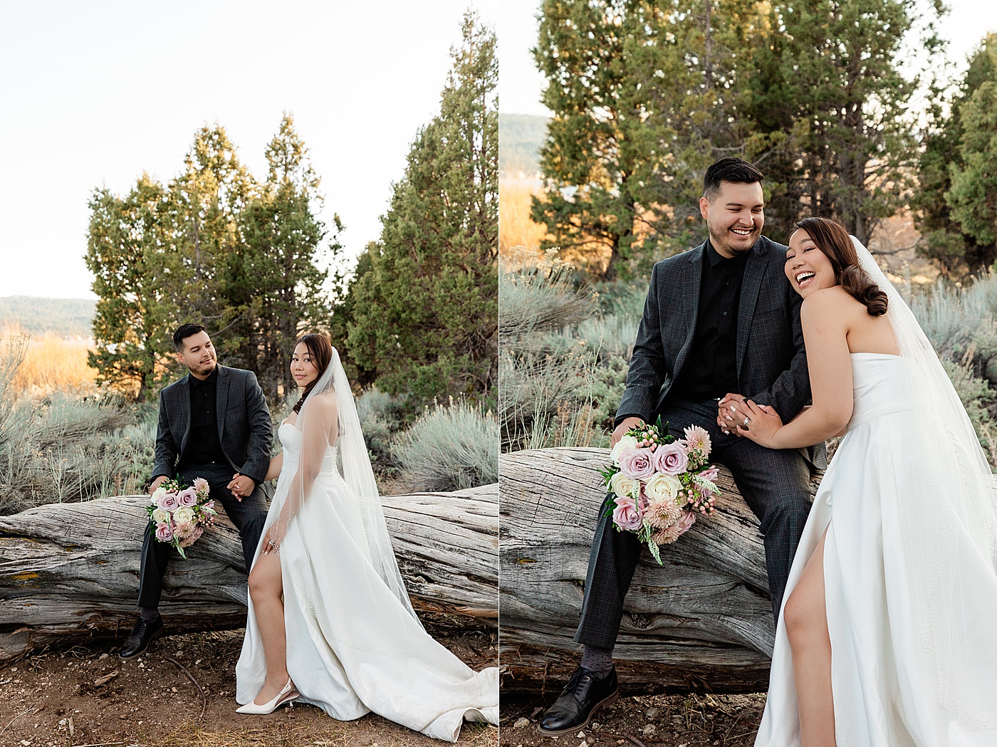 Big Bear elopement at Juniper Point Picnic Area.