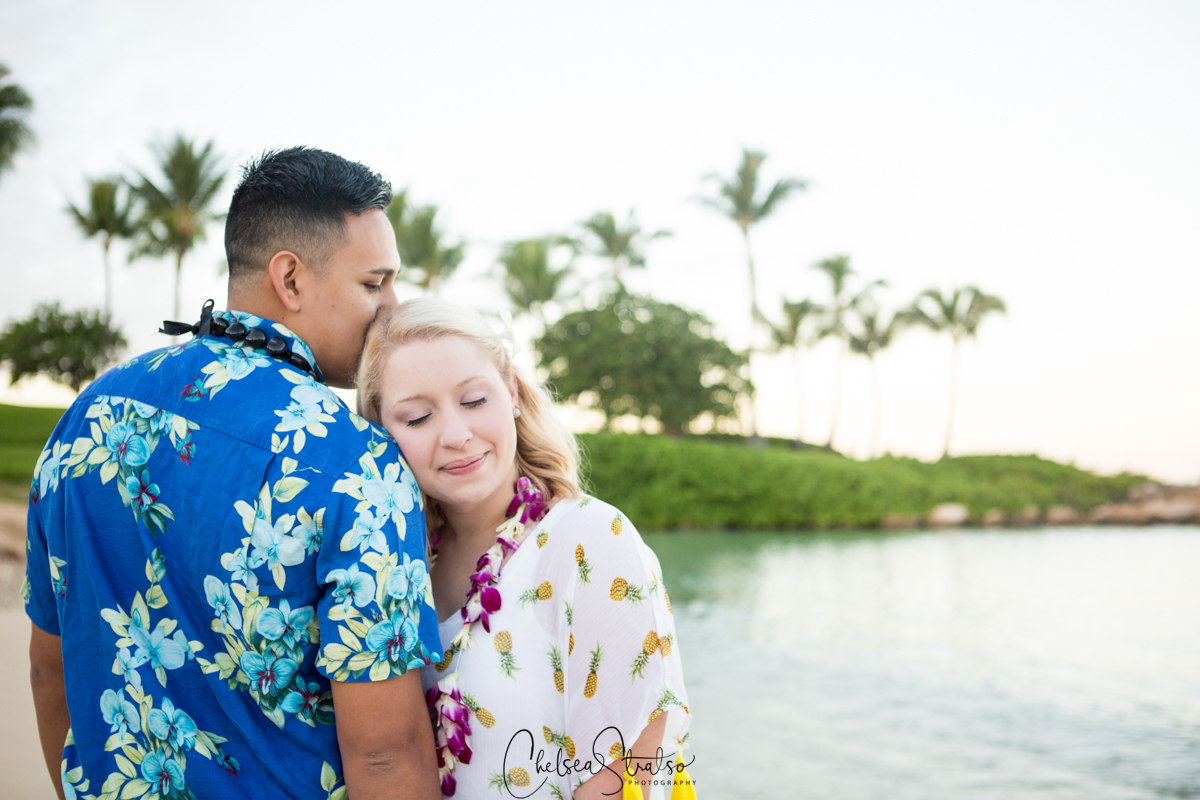 hawaii proposal