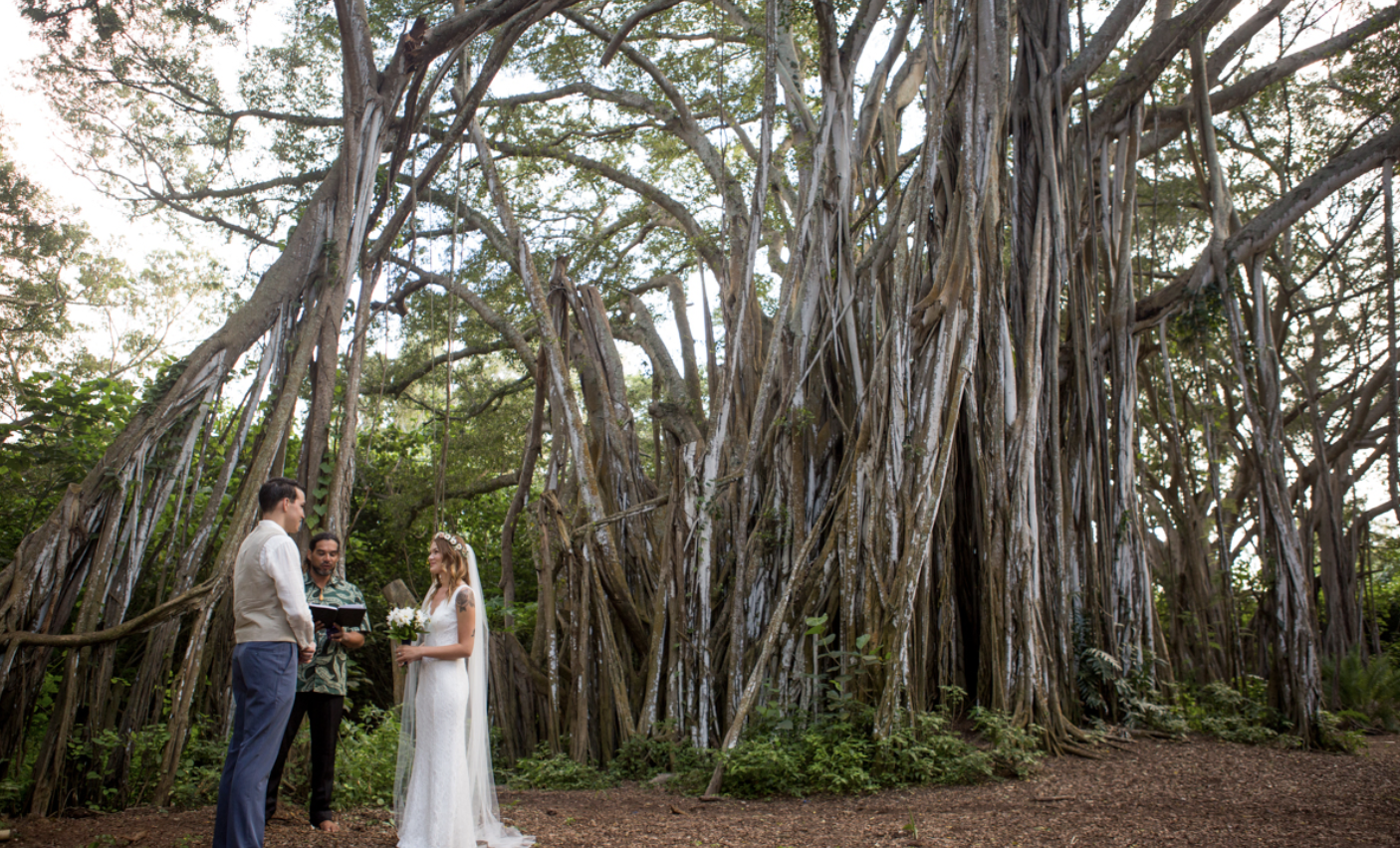 elopement at turtle bay photos