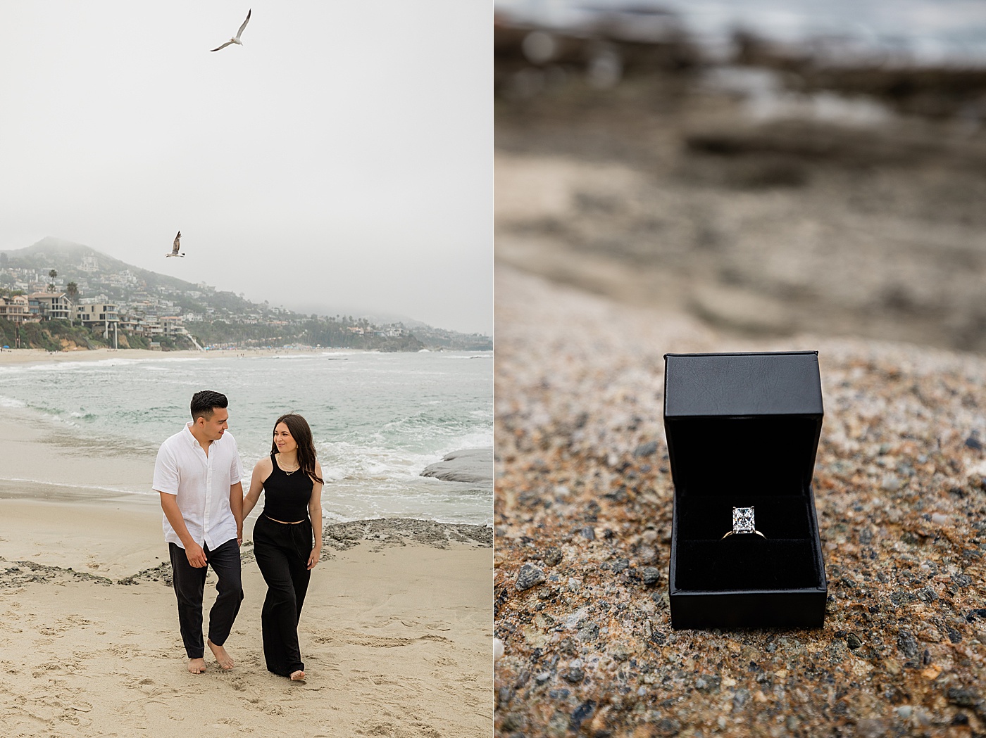 Orange County beach proposal.