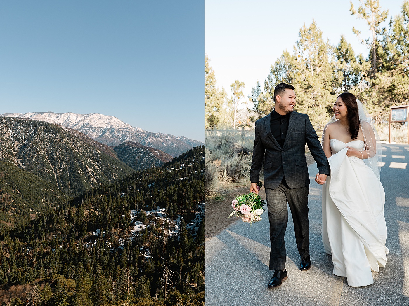 Big Bear elopement at Juniper Point Picnic Area.